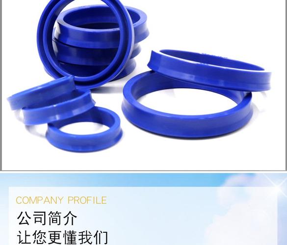 華奇工廠耐磨密封圈o型藍色氟膠橡膠idu高壓odu非標規格骨架油封